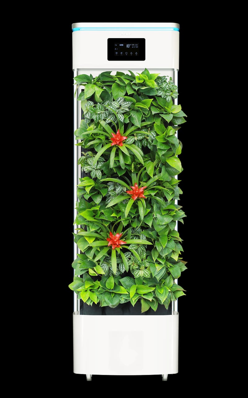 Air-purifying plants