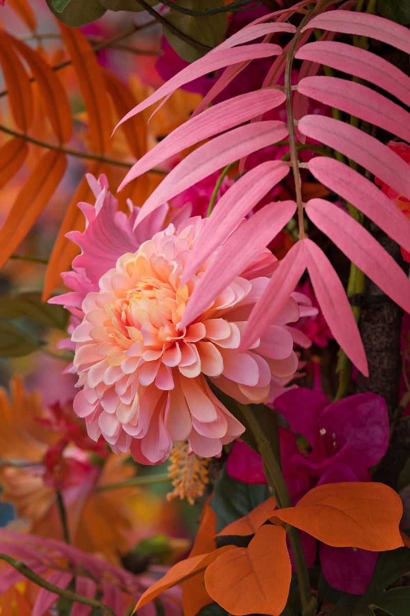 Colorful foliage display