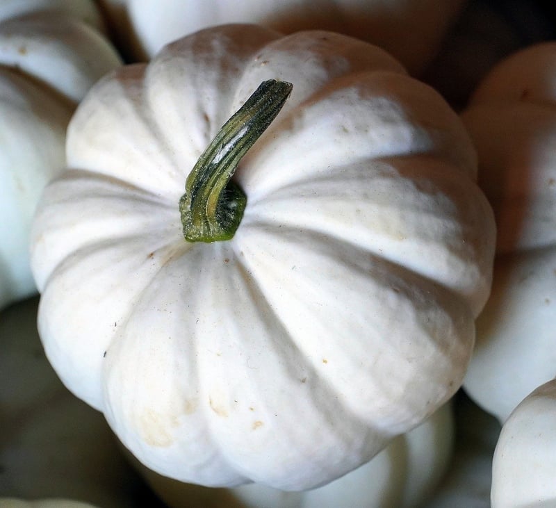 Edible plant varieties